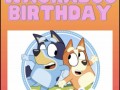 bluey-party-hire-small-1