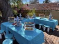 bluey-party-hire-small-3