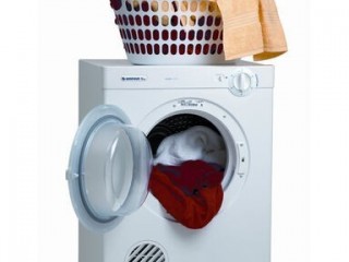 Simpson 4.5kg Dryer