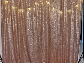 Rose gold shinny curtain with backdrop stand hire