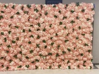 Flower wall hire