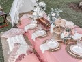 pink-color-theme-boho-picnic-for-hire-small-0