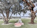 pink-color-theme-boho-picnic-for-hire-small-1