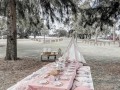 pink-color-theme-boho-picnic-for-hire-small-4