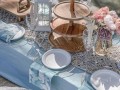 blue-color-theme-boho-picnic-for-hire-small-2