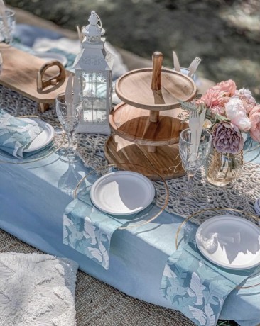 blue-color-theme-boho-picnic-for-hire-big-2