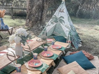 Dinosaur theme picnic hire