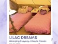 lilac-dreams-bell-tent-small-2