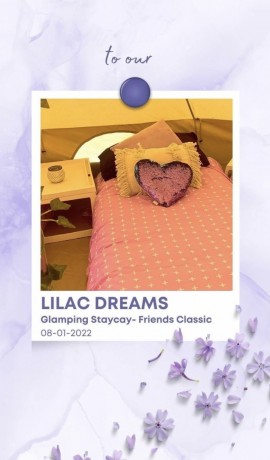 lilac-dreams-bell-tent-big-1