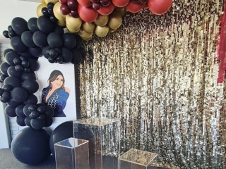 A stunning champagne gold large sequins backdrop hire