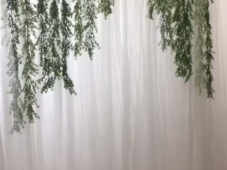 ARBOUR TULLE AND GREENERY HIRE