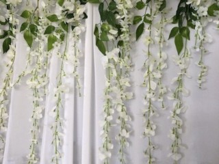 CHIFFON WISTERIA LIGHTS BACKDROP HIRE