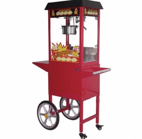 fairy-floss-machine-and-popcorn-machine-hire-incl-ingredients-big-0