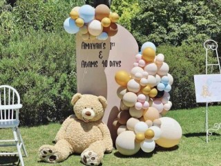 Teddy bear birthday/baby shower setup for hire.